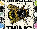 A Single Thing 2nd Edition