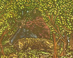 Thicket
