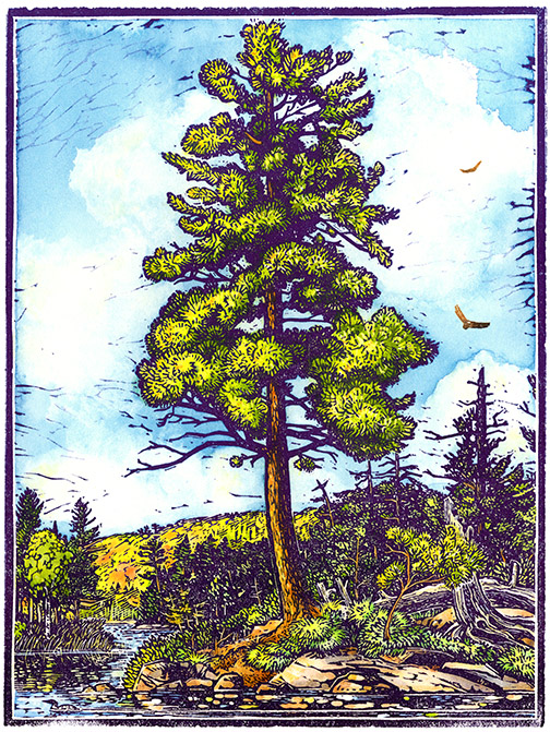 Rick Allen: Sentinel Pine – 2nd Edition